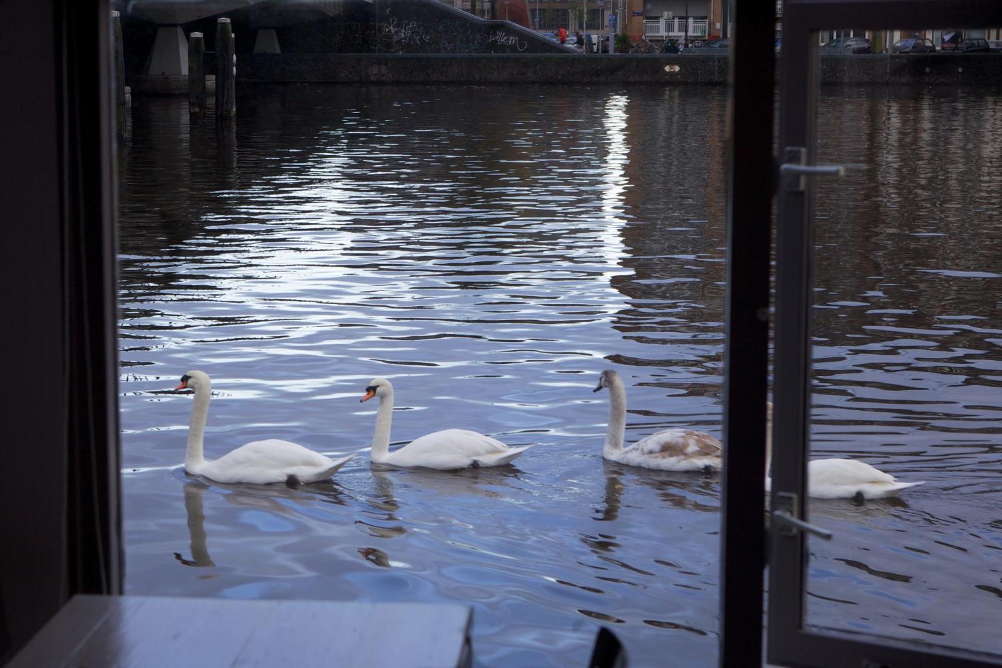 Houseboat Little Amstel Hotel Amsterdam Ngoại thất bức ảnh